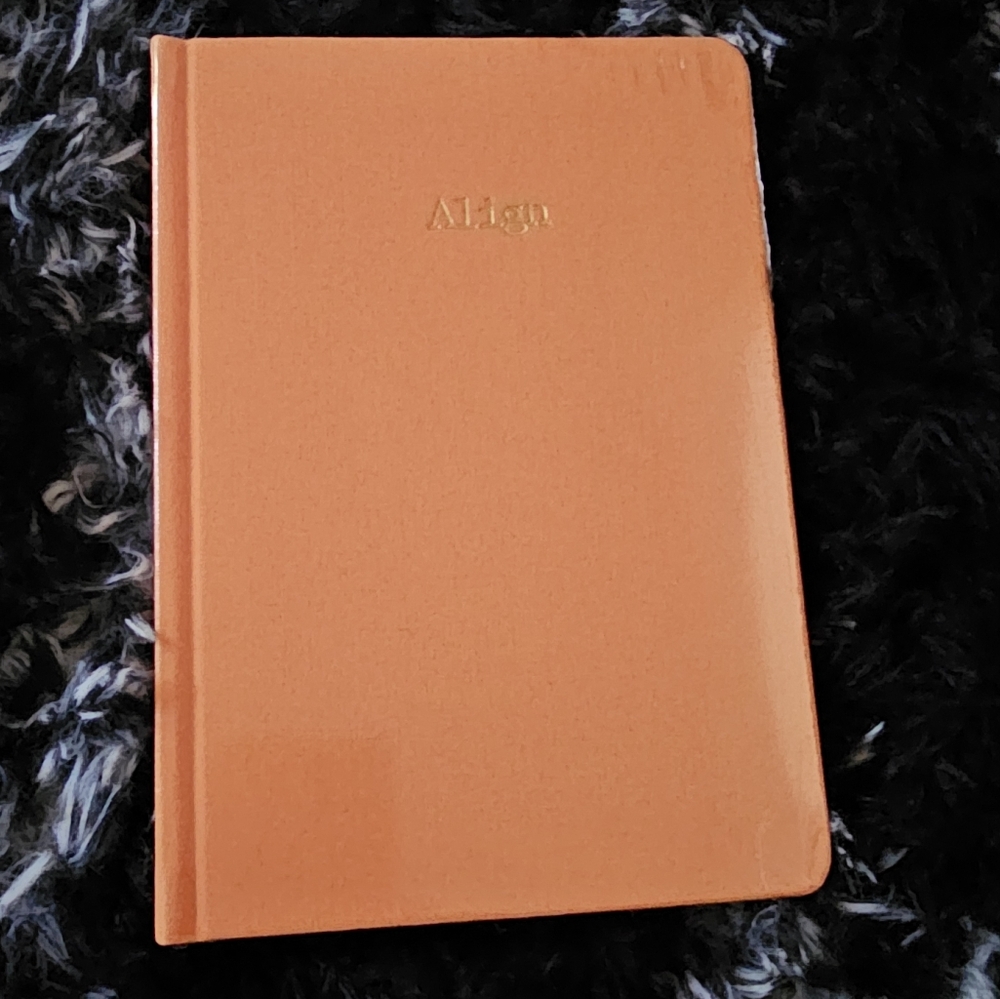 Orange NIP Goldmine and Coco Align Journal